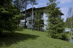Жизнь в лесу